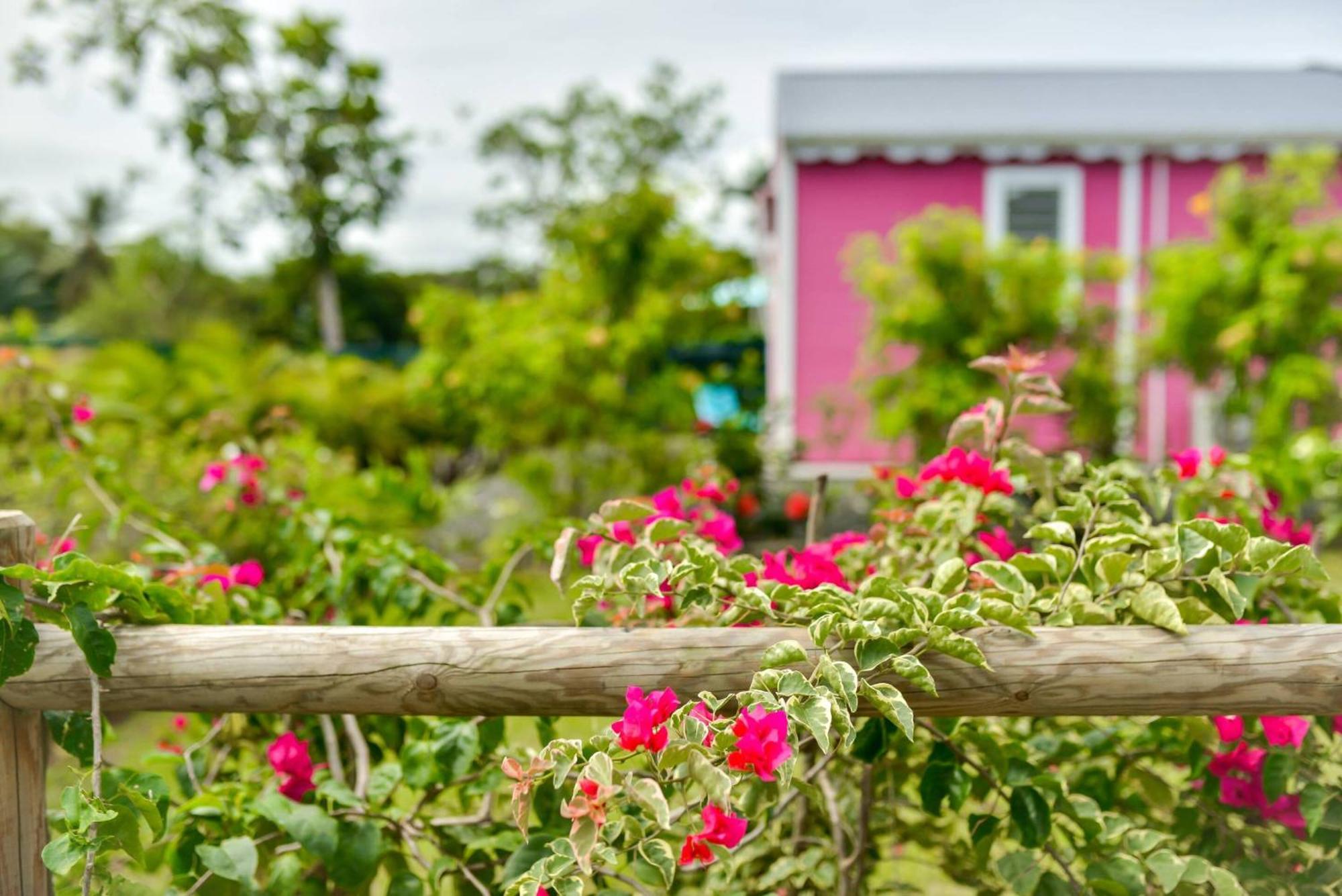 Les Jardins De Chantilly -Bungalows 4 Etoiles Avec Jardins Et Piscines Privees Бе-Мао Стая снимка